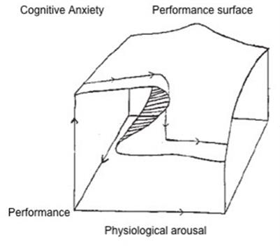 Cognitive function in soccer athletes determined by sleep disruption and self-reported health, yet not by decision-reinvestment